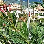 Modern In The Center Of San Pedro De Alcantara, *