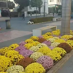 アパート Modern In The Center Of San Pedro De Alcantara, マルベーリャ