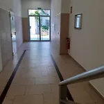 アパート Modern In The Center Of San Pedro De Alcantara, マルベーリャ