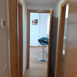 アパート Modern In The Center Of San Pedro De Alcantara,